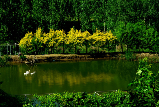 U943P916DT20200724093403.png