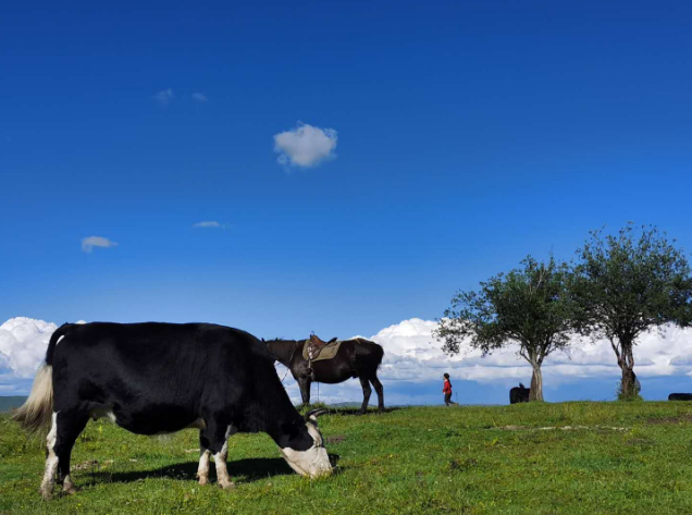 QQ截圖20200803142804.png
