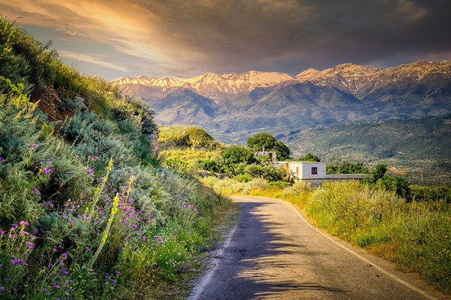 road-6783832_960_720.jpg