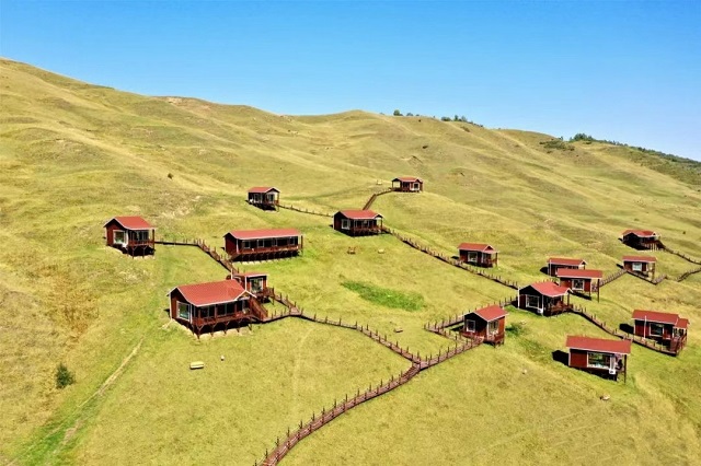 749.jpg