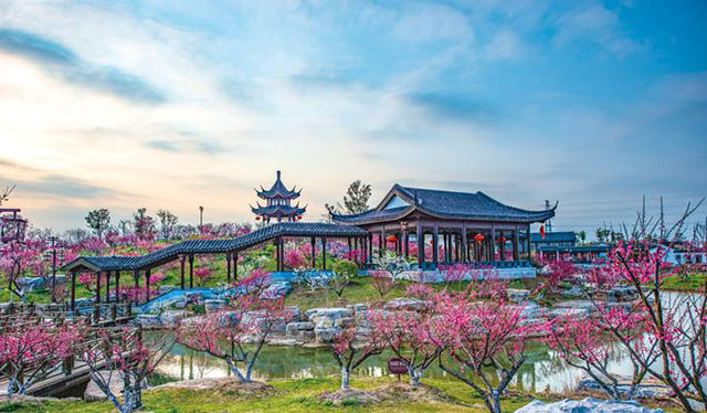 下載 (5).jpg